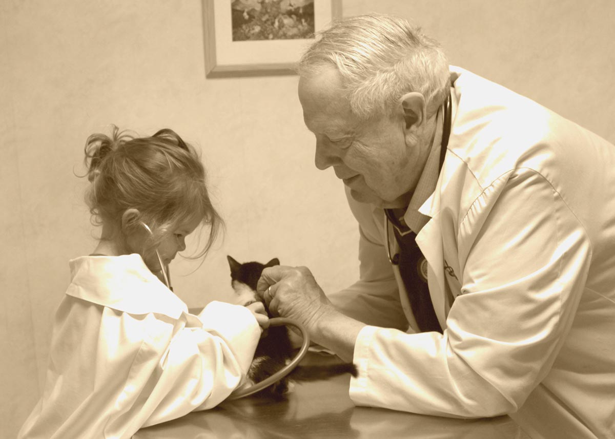 Veterinarian And Animal Hospital In Montclair Nj