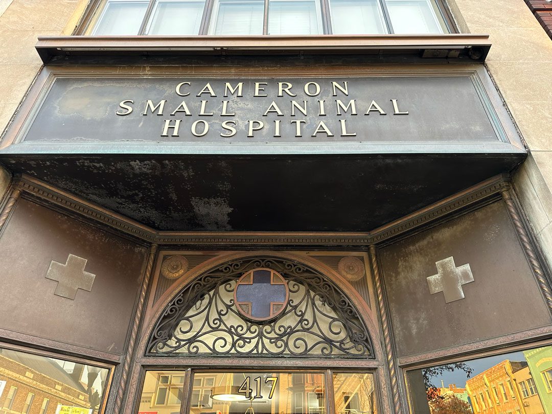 Small Animal Hospital