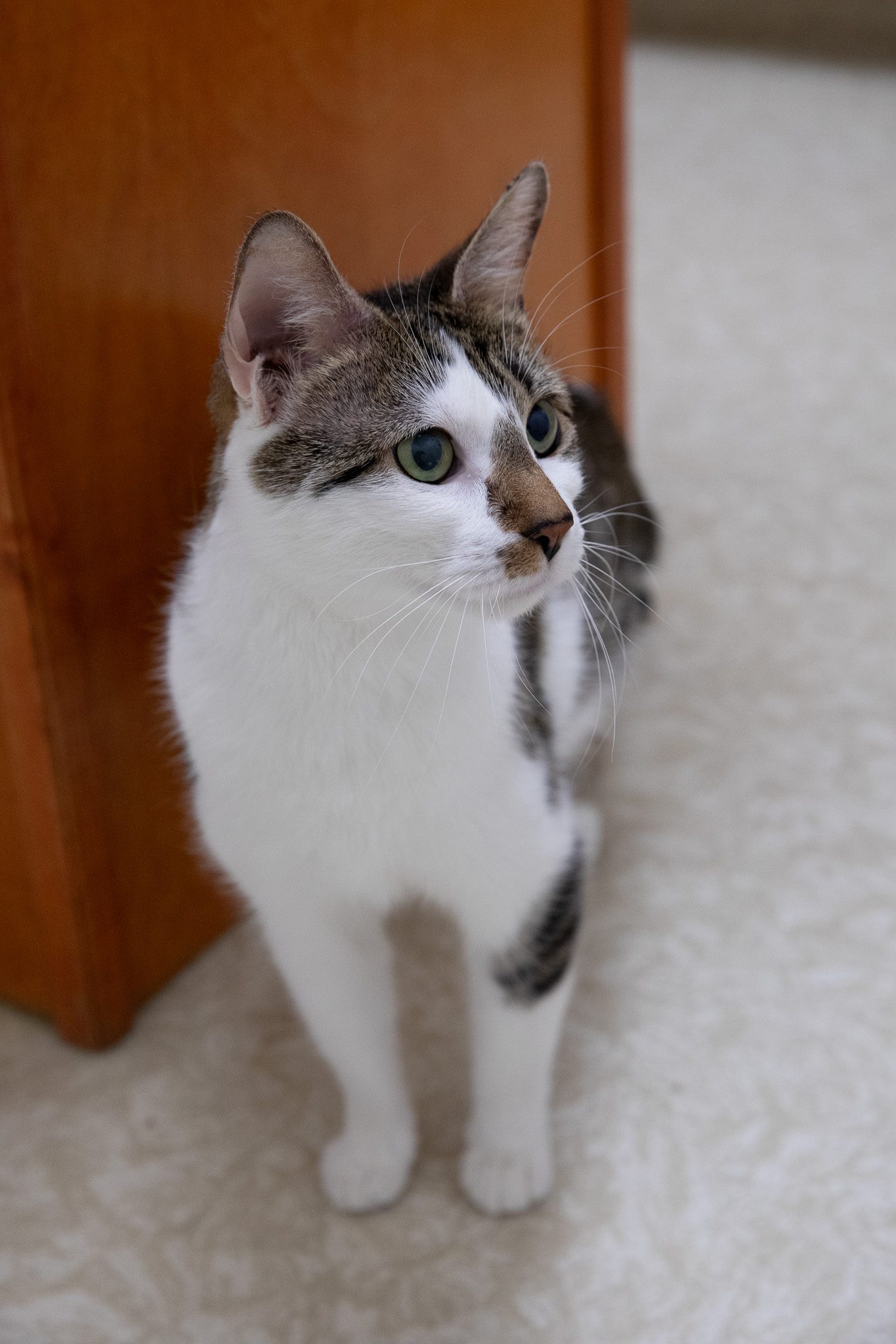 Freya233a4447