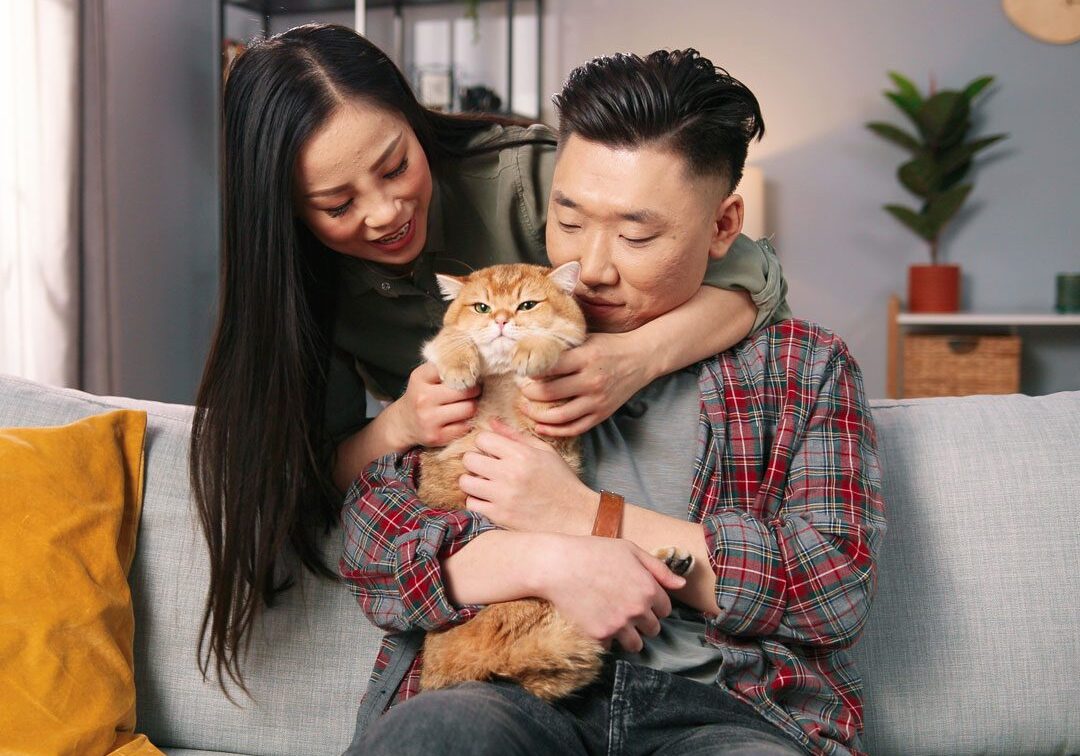 couple sitting on the couch with their cat